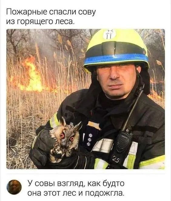 Завалялось тут случайно немного забавных картинок