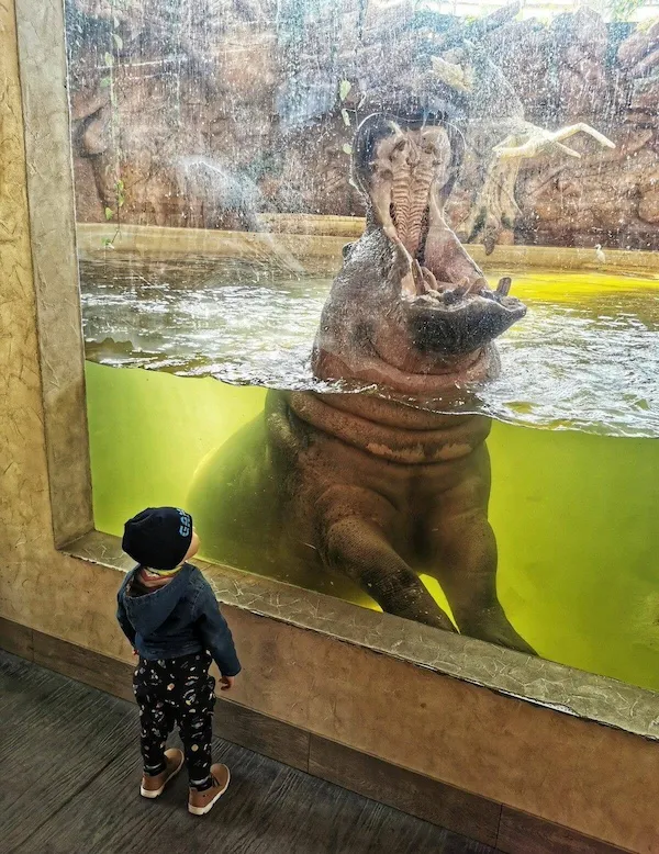 ФотоВинегрет