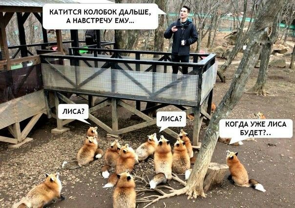 Лисухи и не лисухи