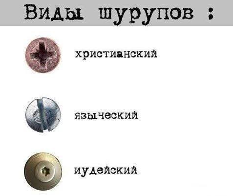 20163175.jpg