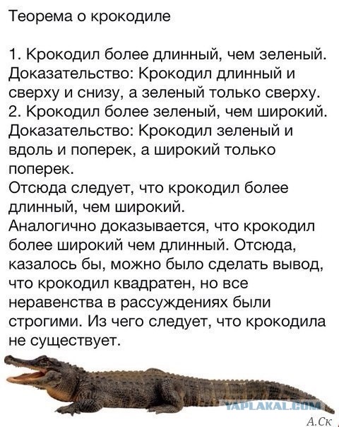 Американская школьница опровергла гипотезу, которую математики пытались доказать 40 лет
