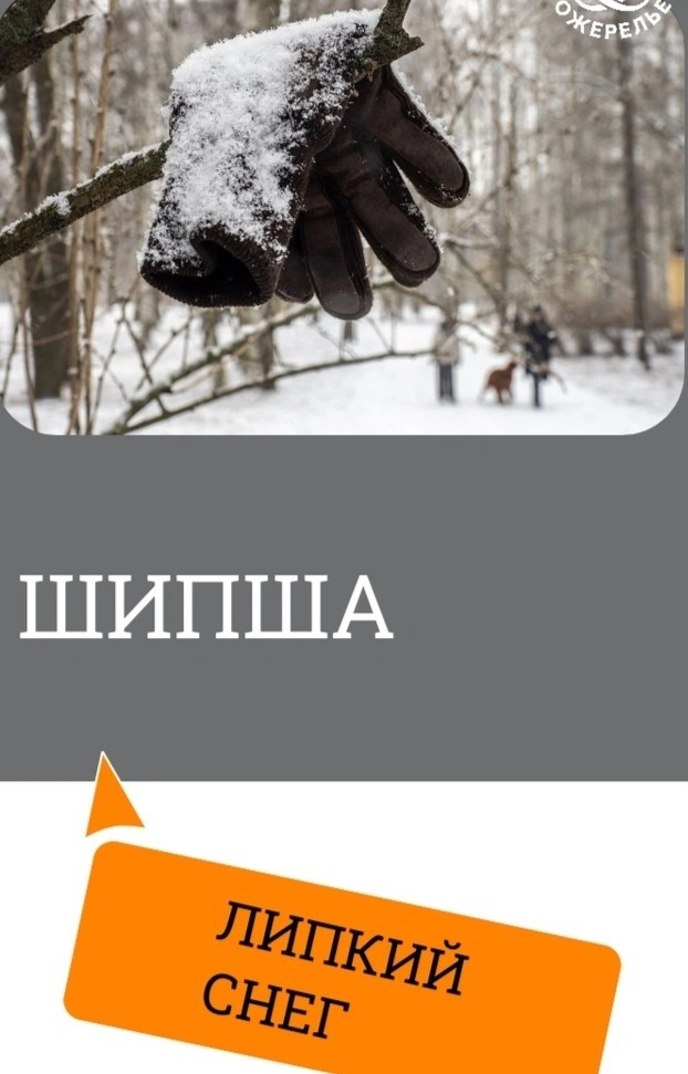 А в Питере сегодня лым.