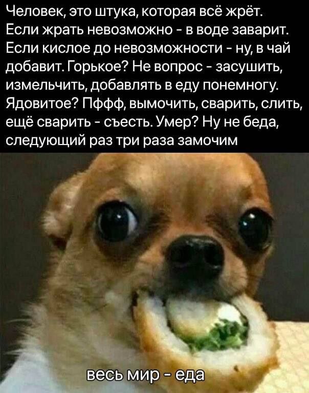 Картинки для деградации 102 (разной степени свежести)