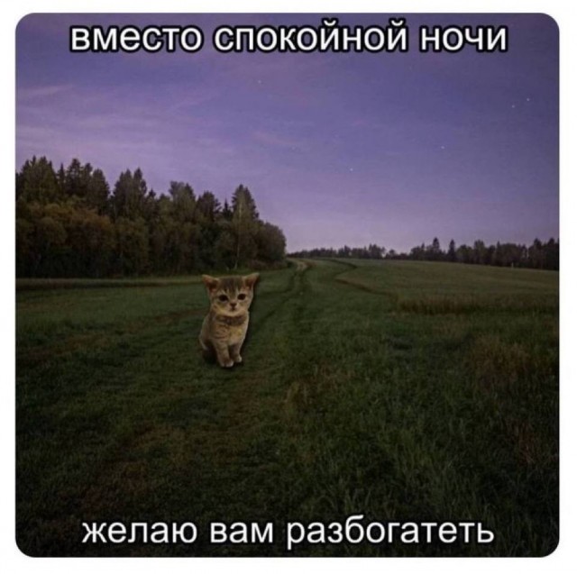 Воскресные картинки