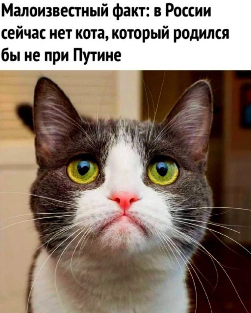 Застой