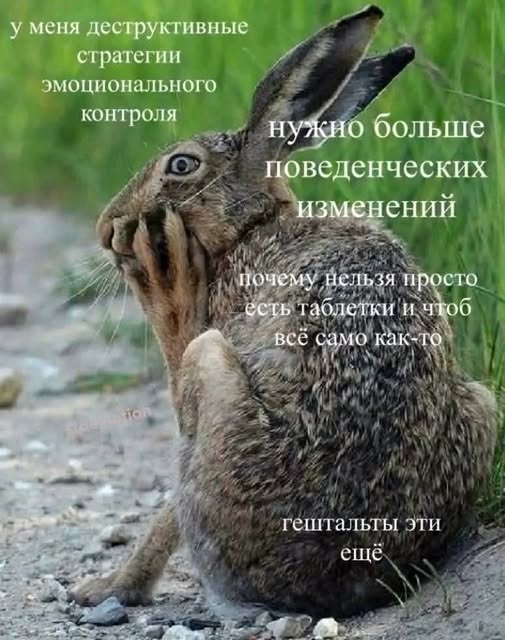 Воскресные картинки