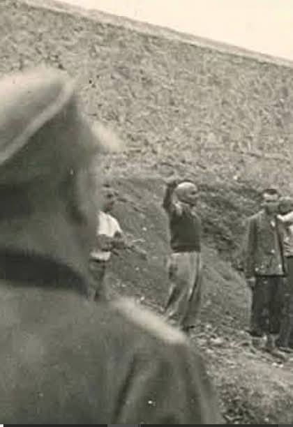 Цунами в соцсетях вызвали найденные на аукционном сайте фотографии с места казни 200 греческих коммунистов