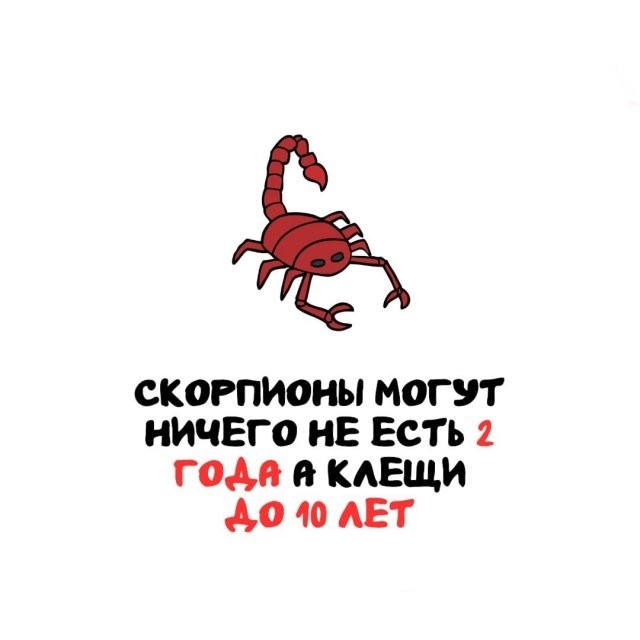 Интересные и короткие факты на все случаи жизни 19.04.26