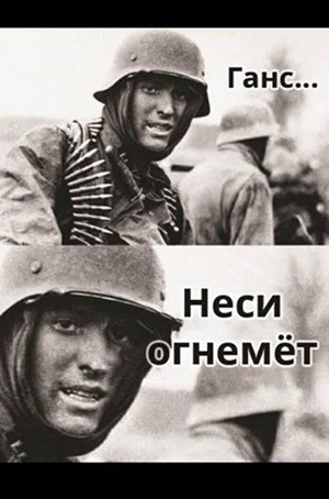 Клопы