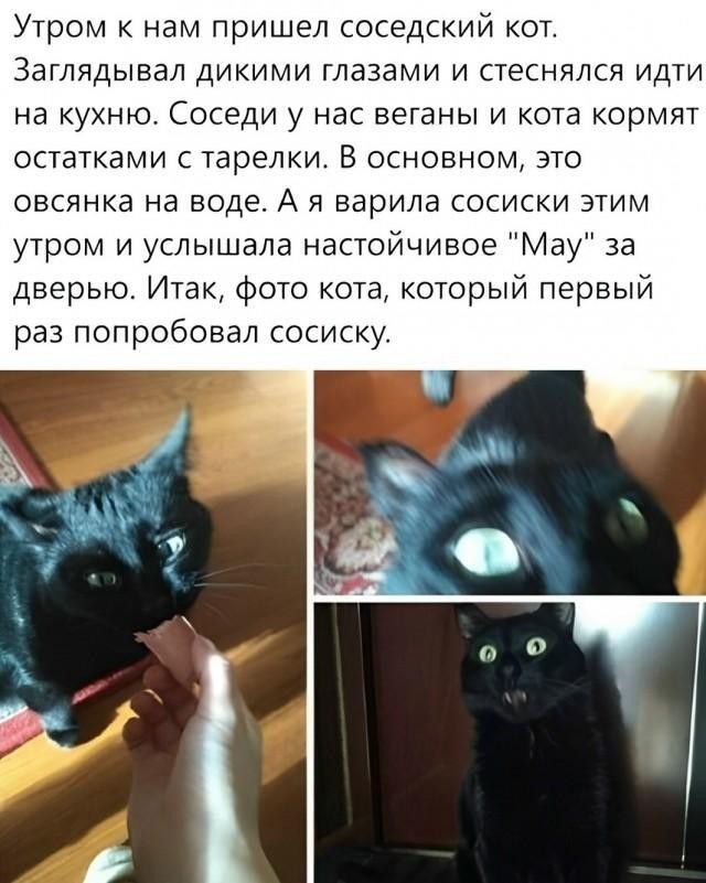 Так себе картинки 14.09.26