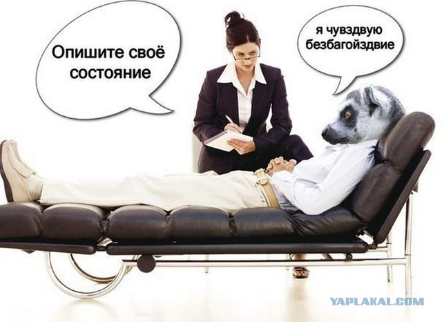Откуда взялся узбагойся