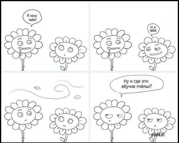 История одной любви