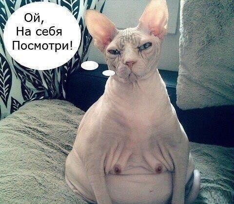 Давайте знакомиться