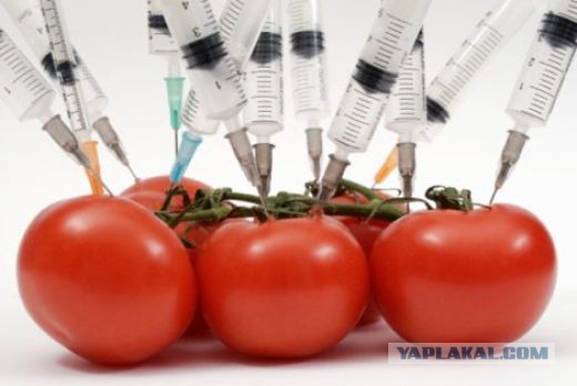 7 ГМО-продуктов, которые вынесут вам мозг!