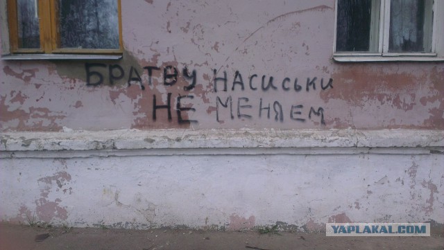 Выносящие мозг надписи на асфальте
