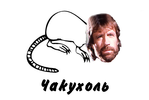 Классификация выхухолей