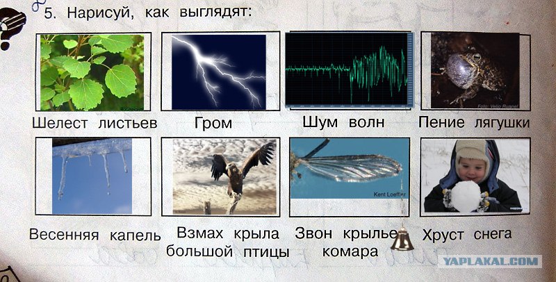 шум листвы звук. как нарисовать звук. шум листвы звук. изобрази шелест листьев. осень ветер.