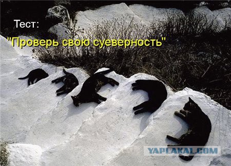 Поднимаем настроение