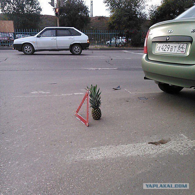 Весёлые картинки
