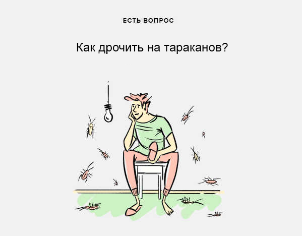 Куда пропали тараканы?