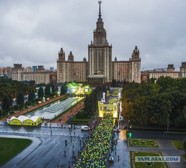 Лучшие спортивные фото 2014 года