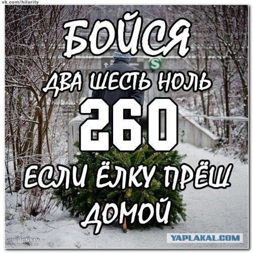 228 и дебильные понты