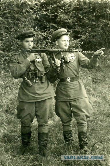 Охотники на бандерлогов