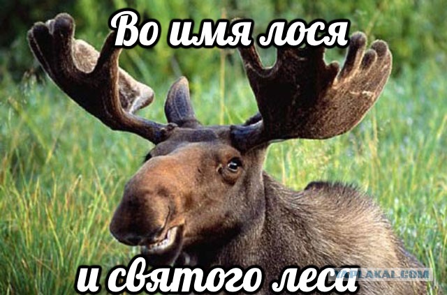 Немец на охоте в России.