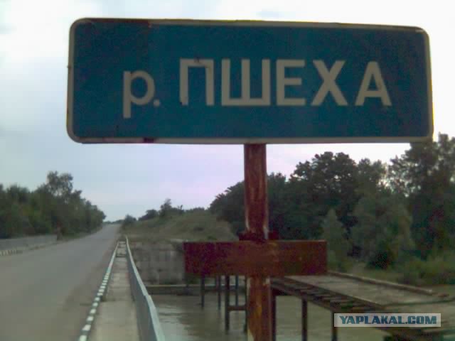 Визуализируем свои ники!