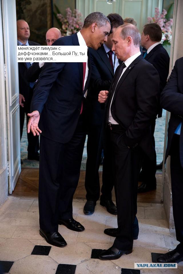 Одна жаба