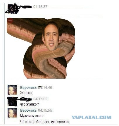 Смешные комментарии из социальных сетей
