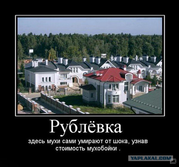 9 картинок из параллельной вселенной