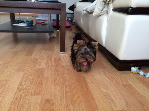 Цобакин четверг