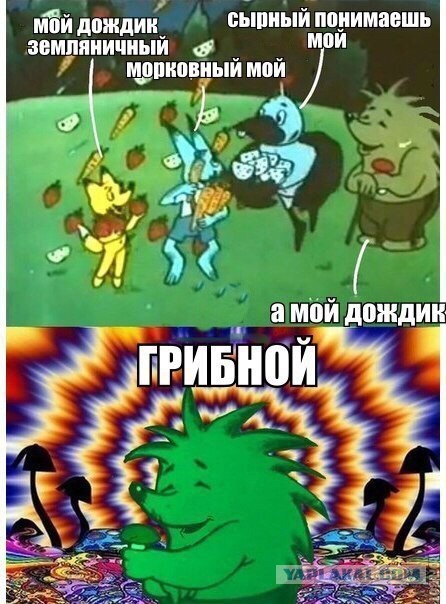 Очередные картинки