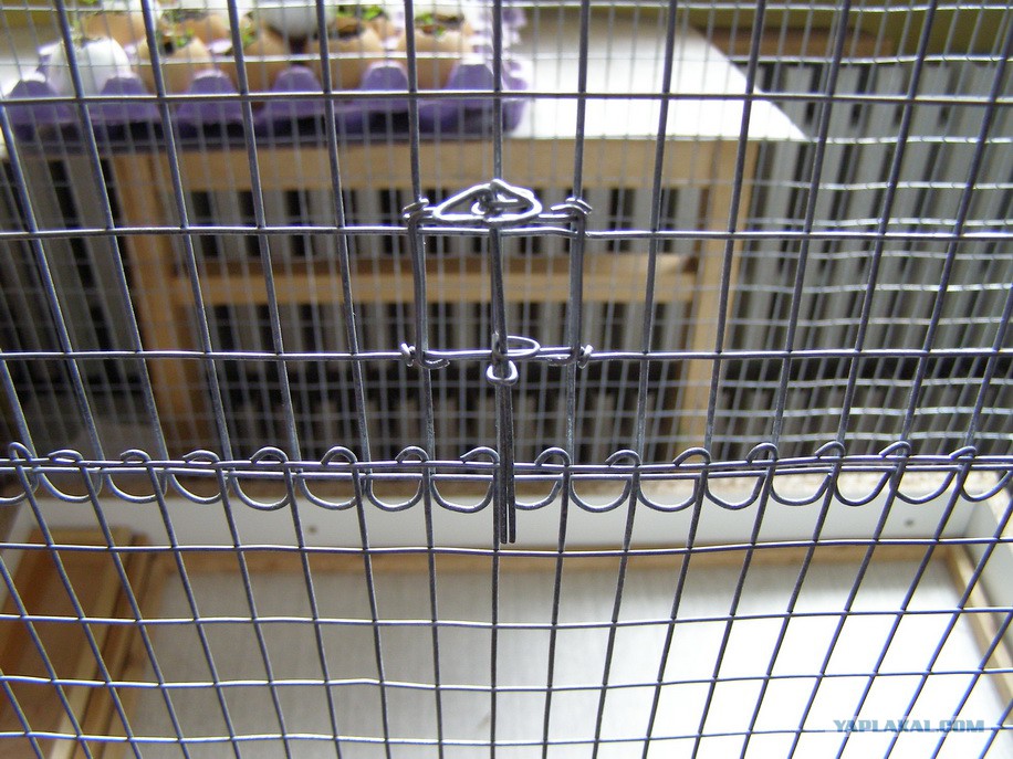 Ставлю клетку на 1. Дверца из сетки для клетки. Сетка металлическая для клеток птиц. Сетка в клетку. Сетка металлическая для клетки попугая.