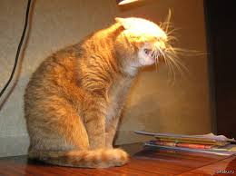 Параллельные миры, гораздо ближе