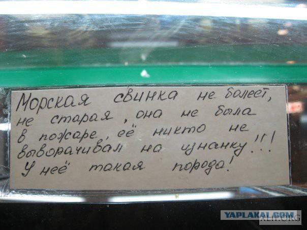 Подборка демотиваторов