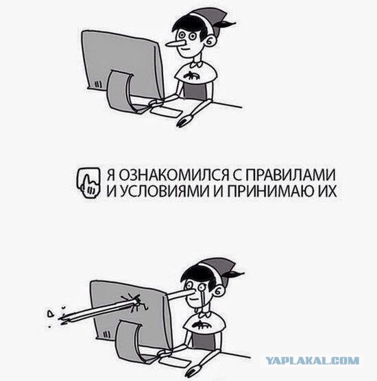 Немного картинок