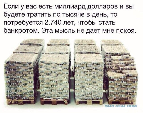 15 картинок с тЫрнета