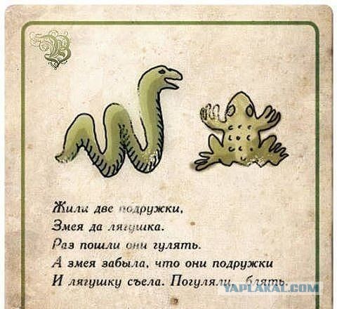 Тигр Амур все-таки съел козла Тимура...