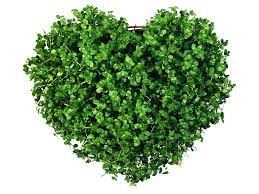 Истории от врачей -59