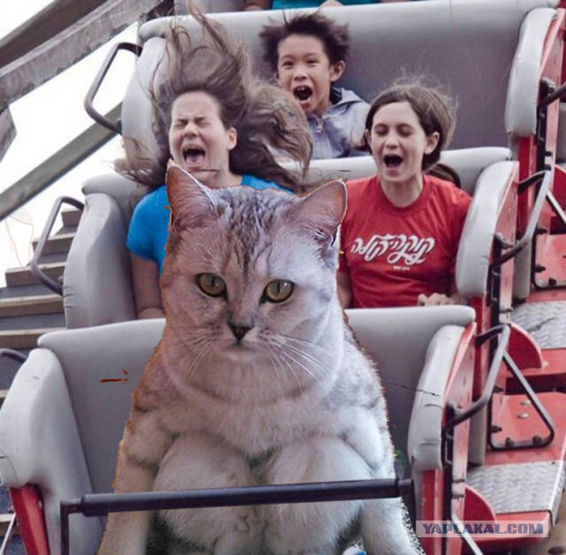 "Веселый" клоун