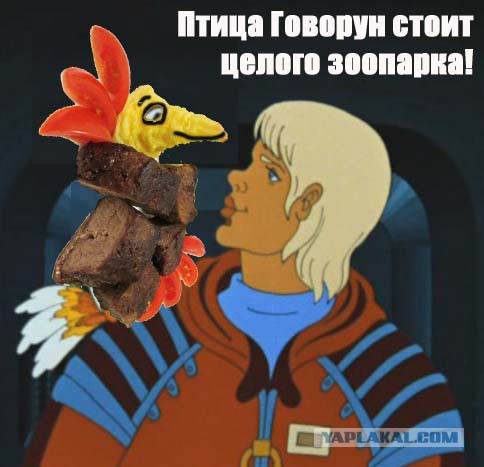 Птица говорун отличается умом и сообразительностью картинки