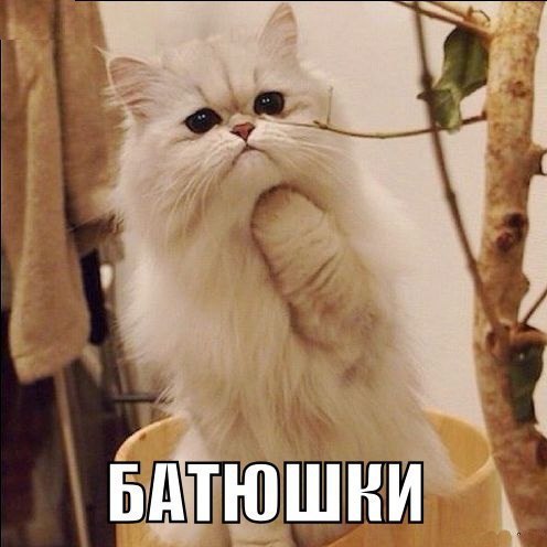 Немного картинок