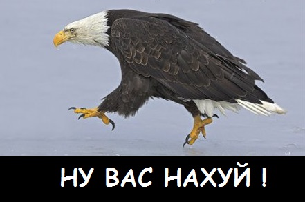 Так, я не понял?! Это что за фигня?!