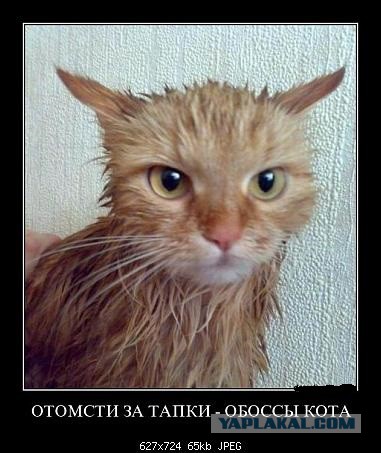 Демотиваторы на пятницу!