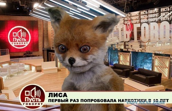 На Марсе кто-то наставил крестов