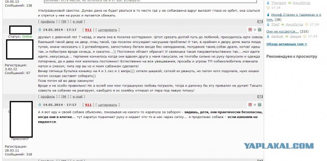 Грамотеи из интернетов умеют сочинять новые слова, даже не задумываясь