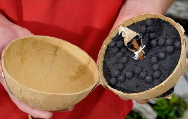 Интересные и веселые картинки