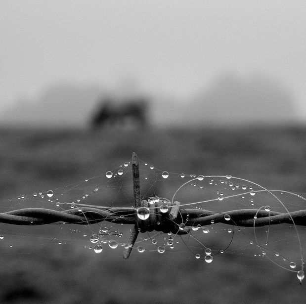 Больше, чем фото